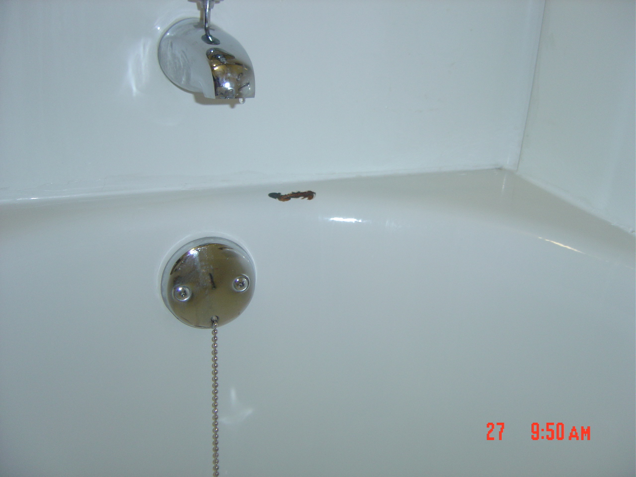 Gallery photo for Astoria Bathtub Refinishing Incorporated in Astoria, NY