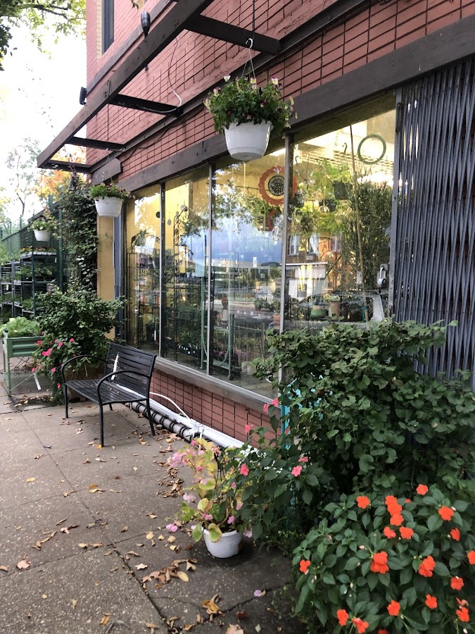 Ginkgo Gardens Garden Center photo