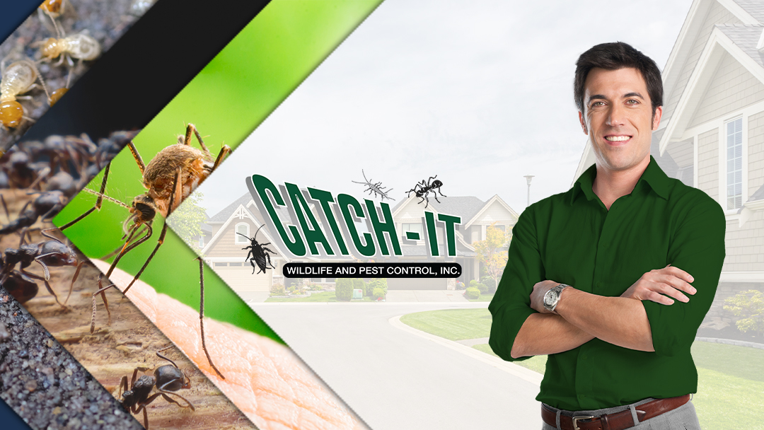 Catch-It Wildlife & Pest Control, Inc.