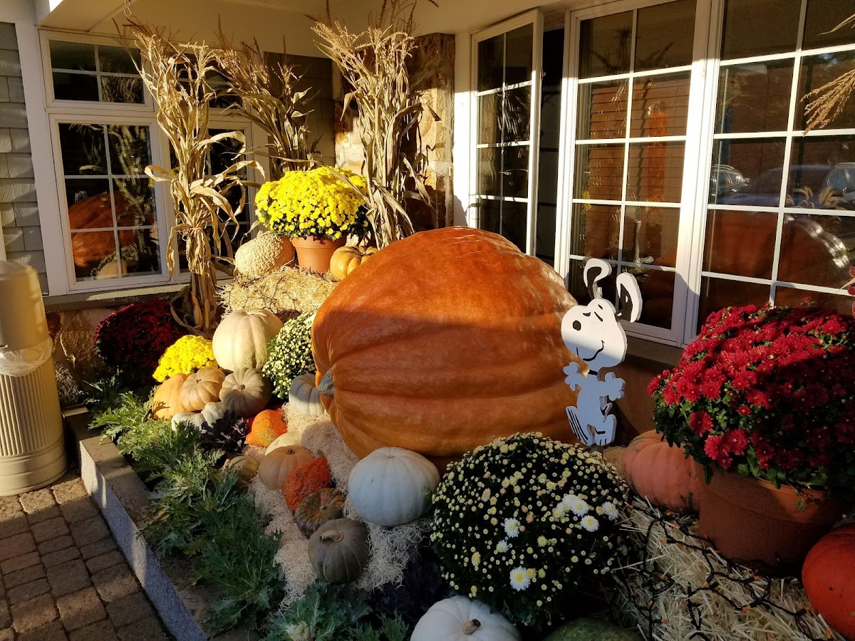 Eddie's Plumbing & Remodelin - Eddie's Plumbing & Remodelin Toilet Repair in Pascagoula, MS photo