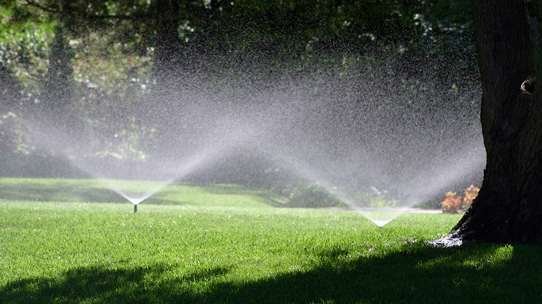 Jersey Shore Lawn Sprinkler