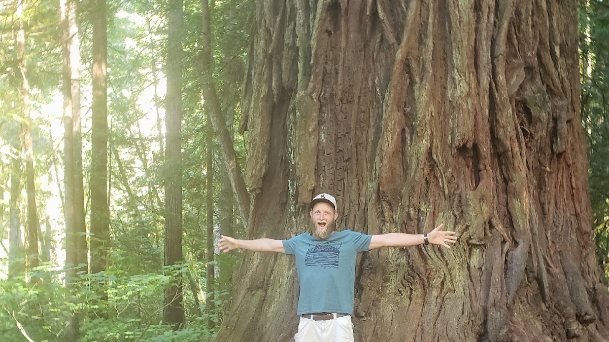 Natrona County Carpentry and Handyman services