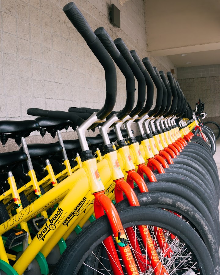 Forest Beach Surf & Cycle