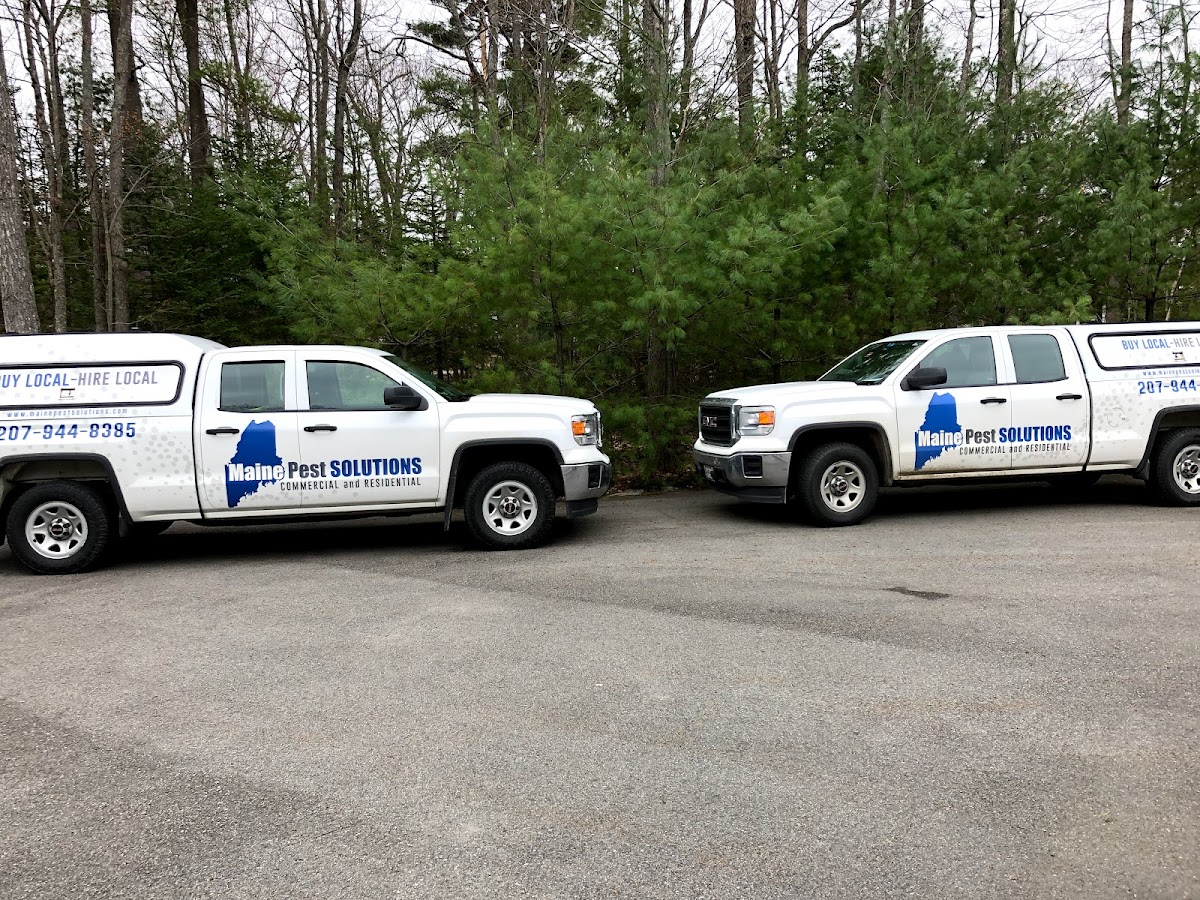 Maine Pest Solutions