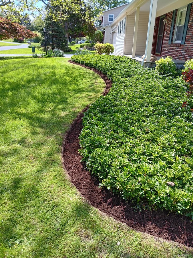 Francisco's Landscaping