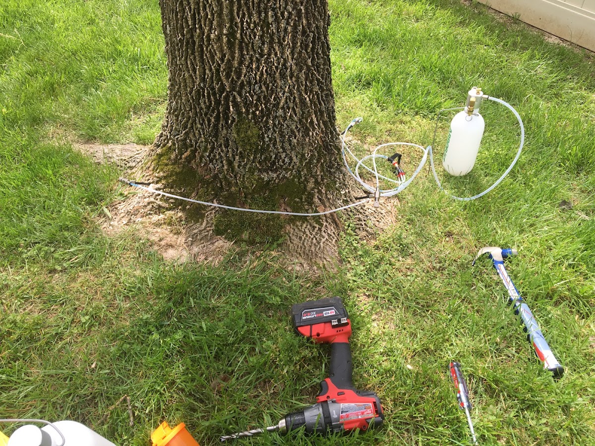 Diamond Edge Outdoor Management