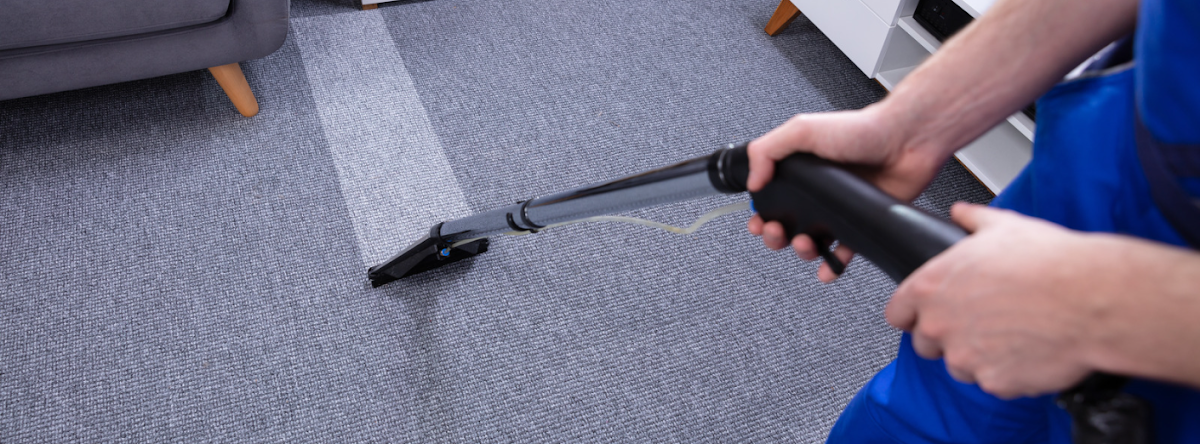 Go Green Carpet Cleaning Carpet Repair in Marshfield, MA photo