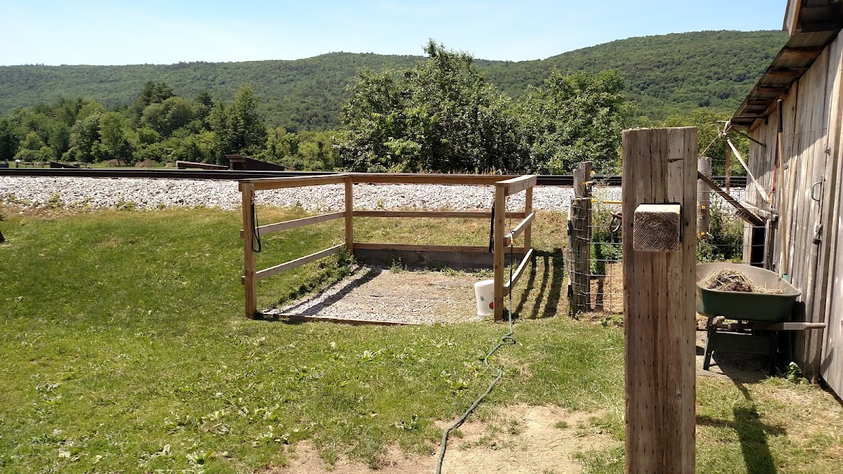 Pine Hollow Landscape