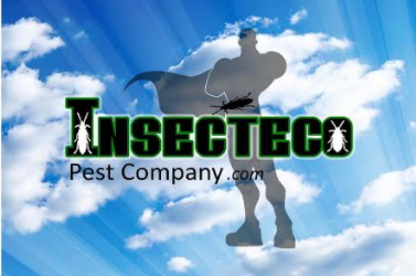 Insecteco Pest Company