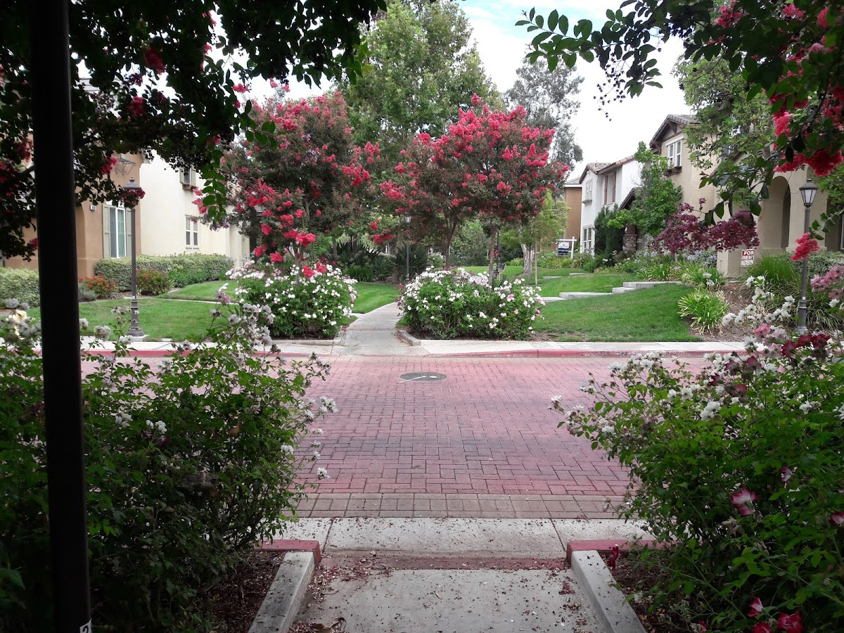 America's Irrigation & Landscaping