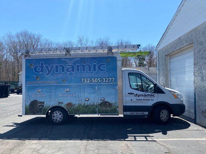 Dynamic Pest Control LLC