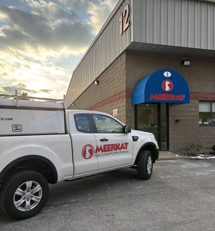 Meerkat Pest Control