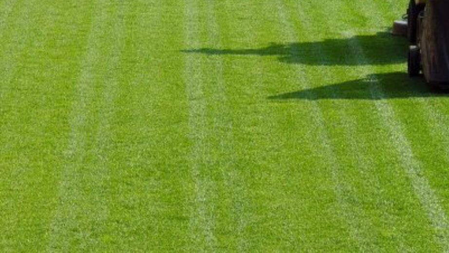 A Cut Above Lawn Service