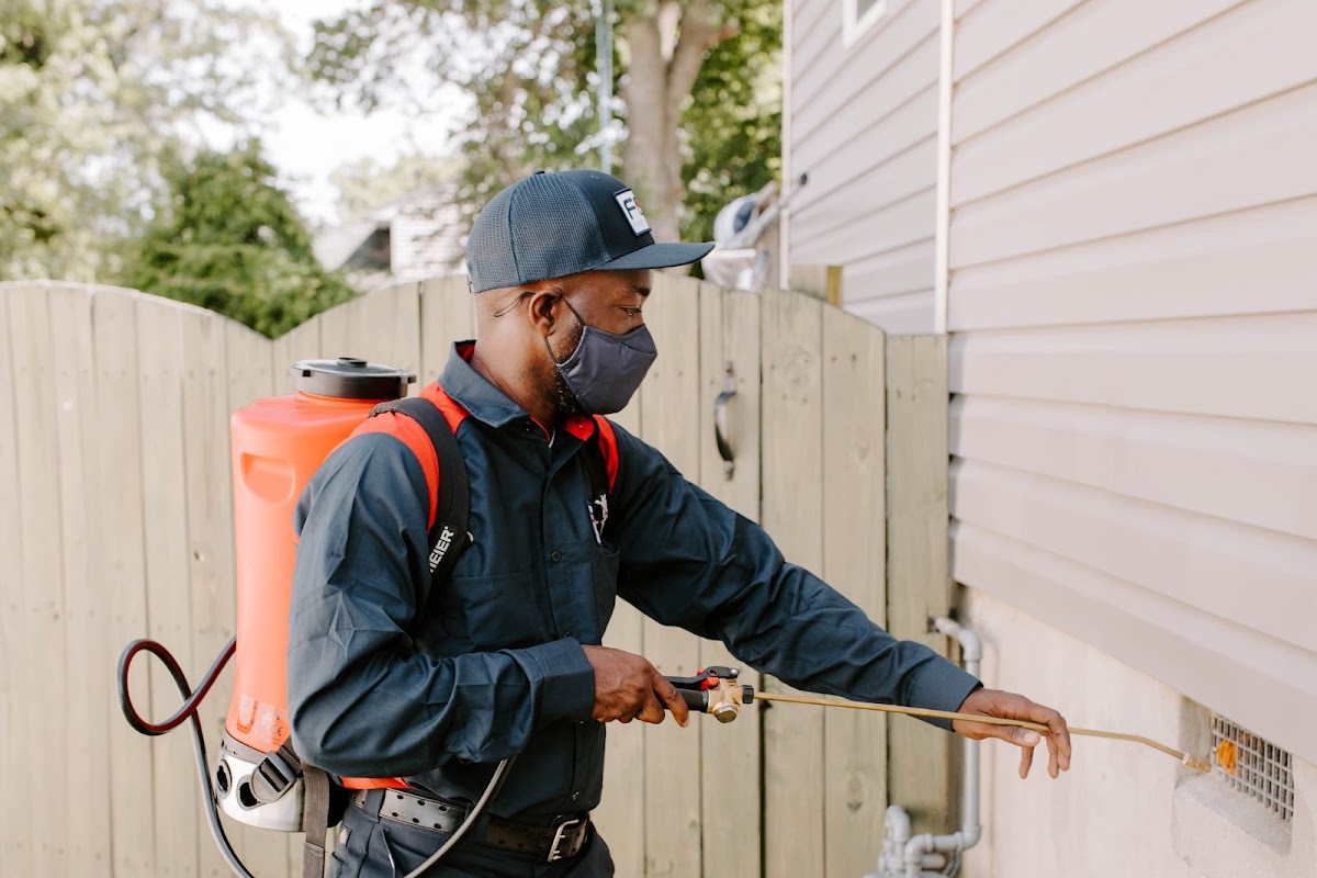 Fox Pest Control Lubbock