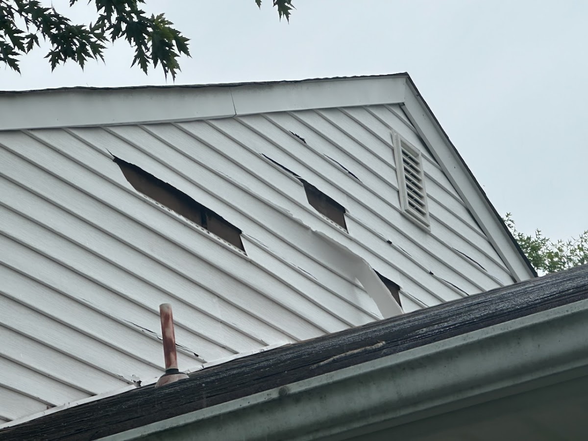 Accent Home Improvements and Repairs