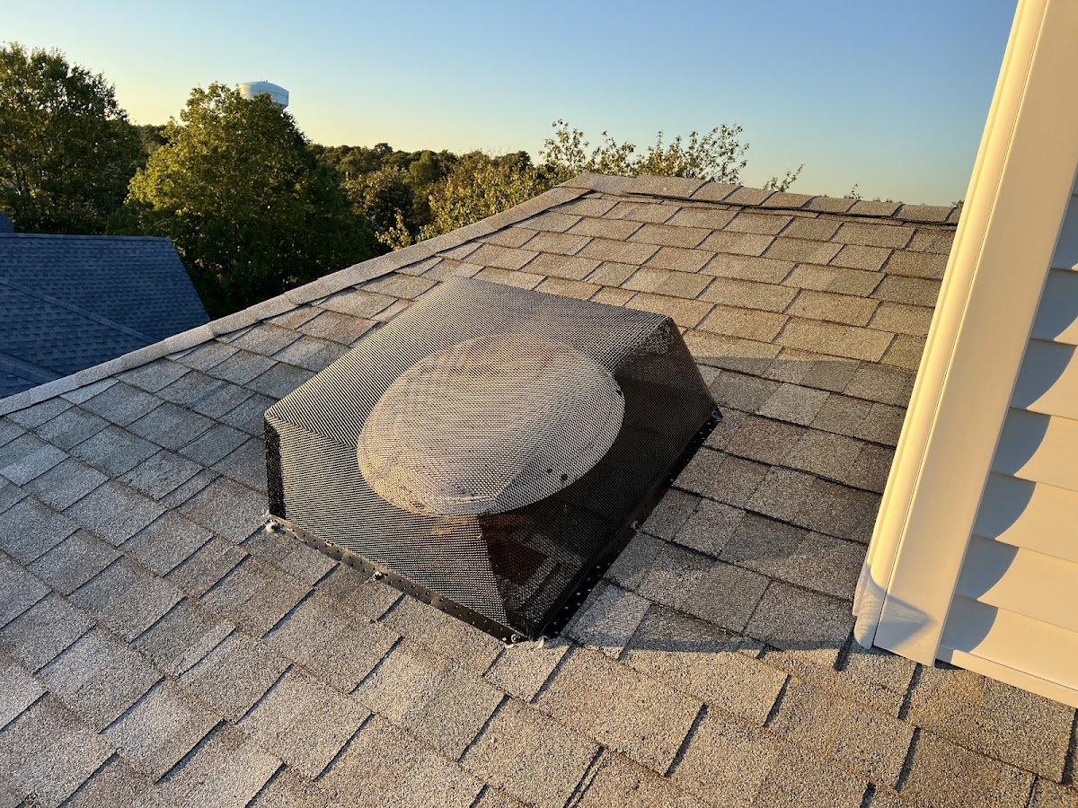 Shore Pest Solutions LLC