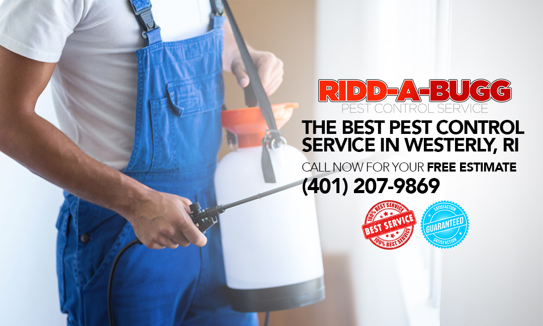 Ridda-Bug Pest Control