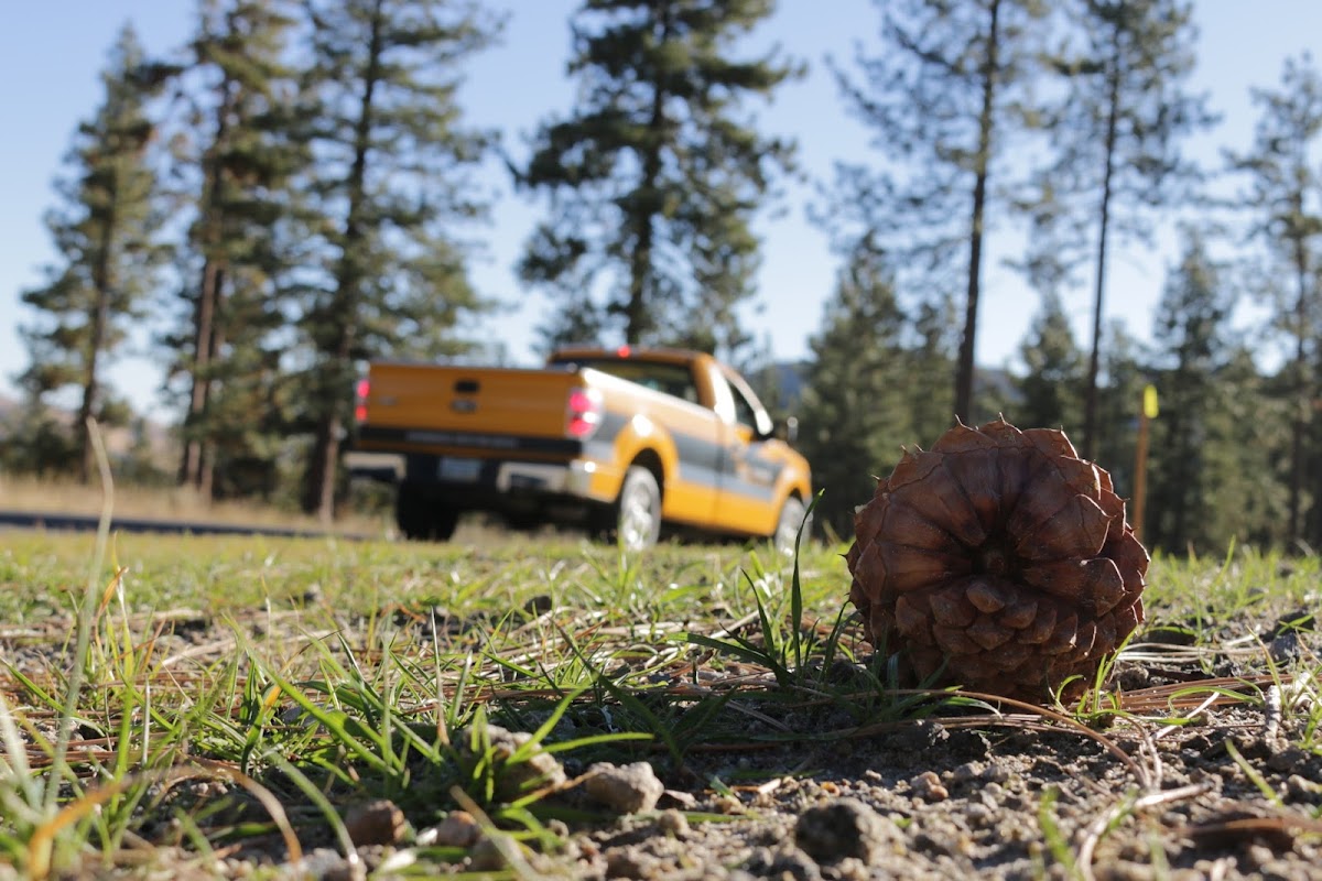 EPS : Environmental Protection Services : Carson City