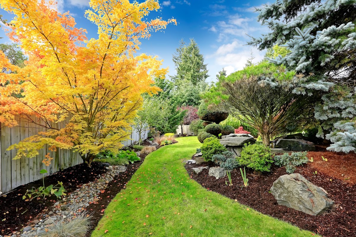 Rocks and Blocks Landscaping