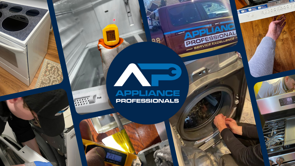 Appliance Professionals Parts and Service