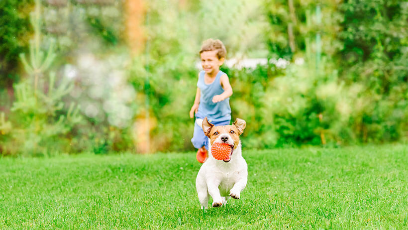 Mosquito Squad of Waukesha County & Milwaukee North Shore