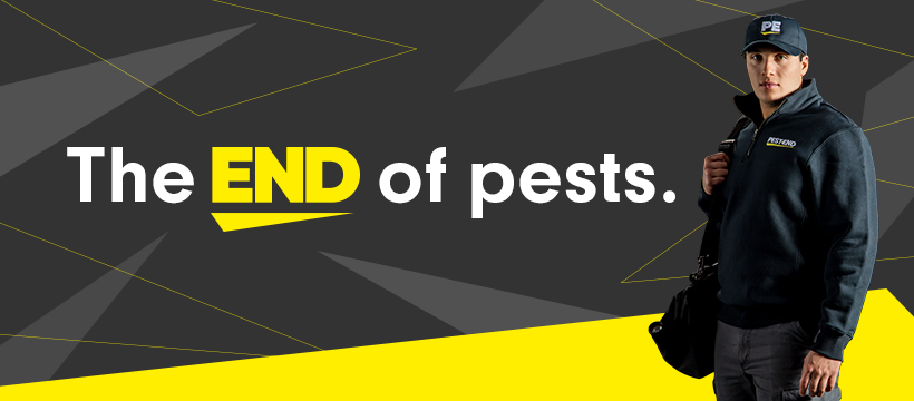 Pest-End