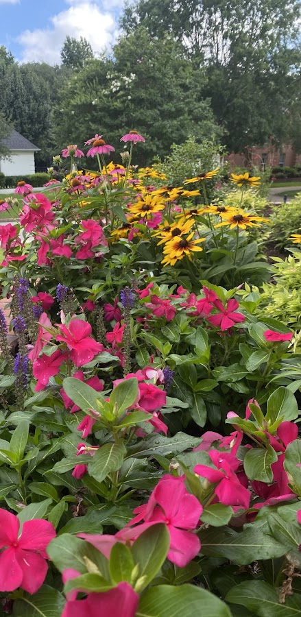 Happy Gardens Landscape LLC