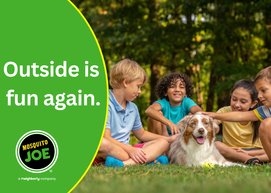 Mosquito Joe of Springfield