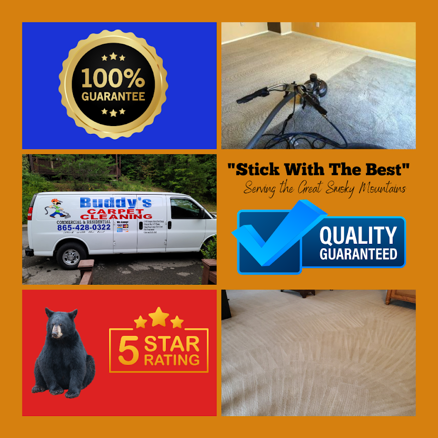 Buddy's Carpet Cleaning