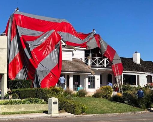 Chem Free Exterminating