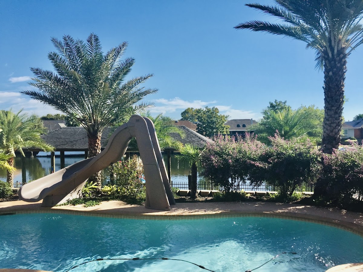 Lakeshore Palms & Landscaping