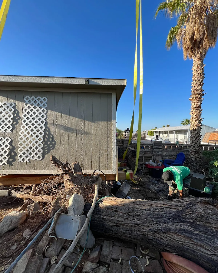 Mint Restoration and Construction