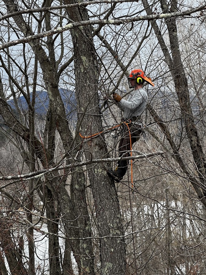 Farr's Tree Service Inc