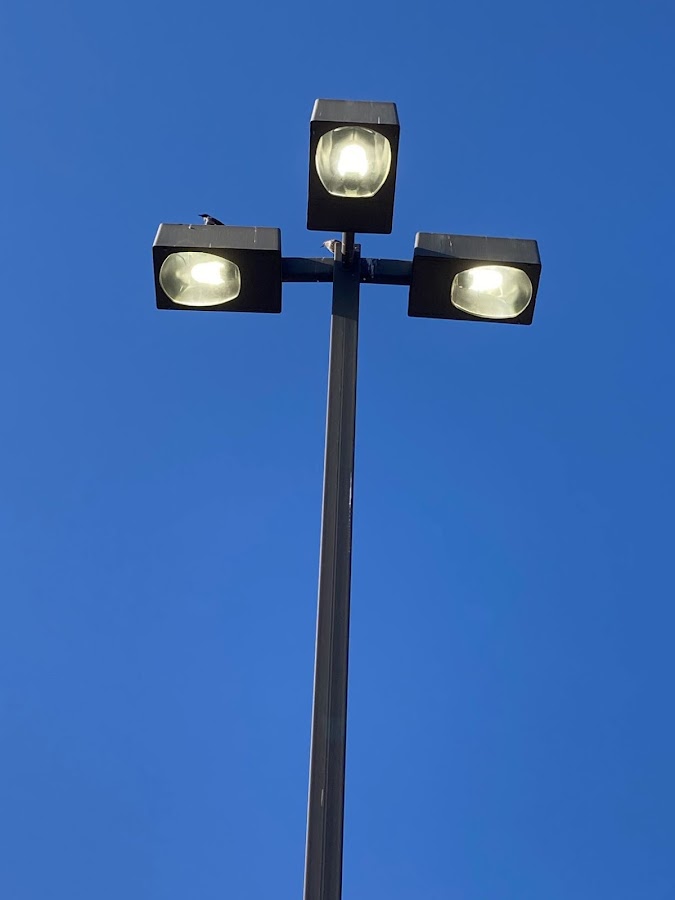 The Lite Guy - The Lite Guy Electrical Repair in Villa Hills, KY photo