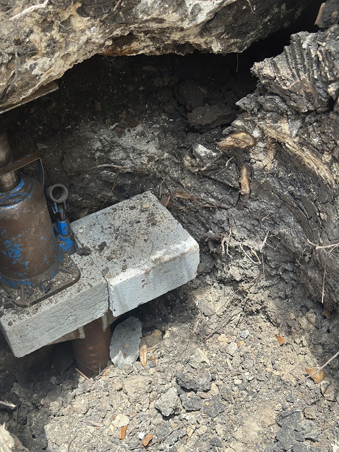 Bats Foundation Repair