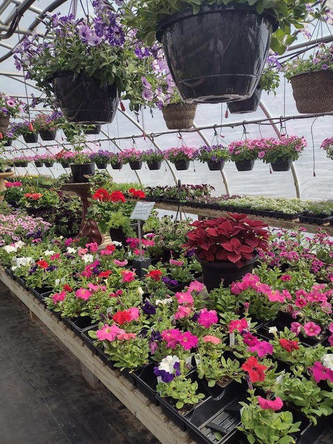 Green Thumb Landscaping & Excavating Inc