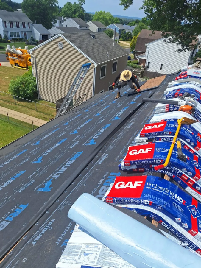 Exterior design group llc