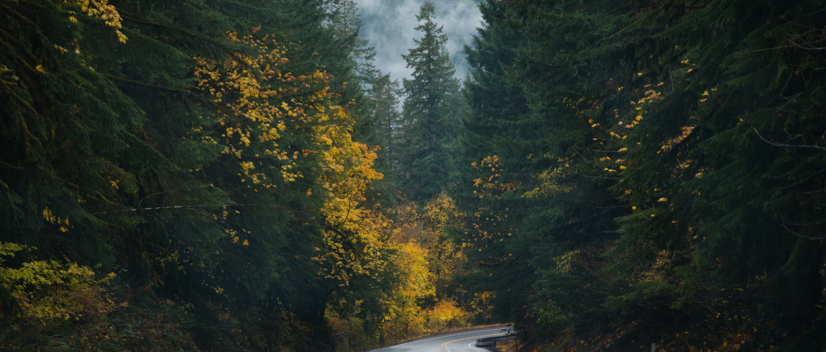 NW Woods Septic Service Service in Us-26, OR photo