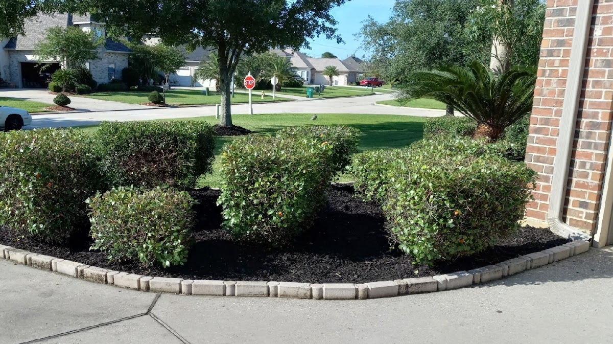Binder's Fence and Landscape