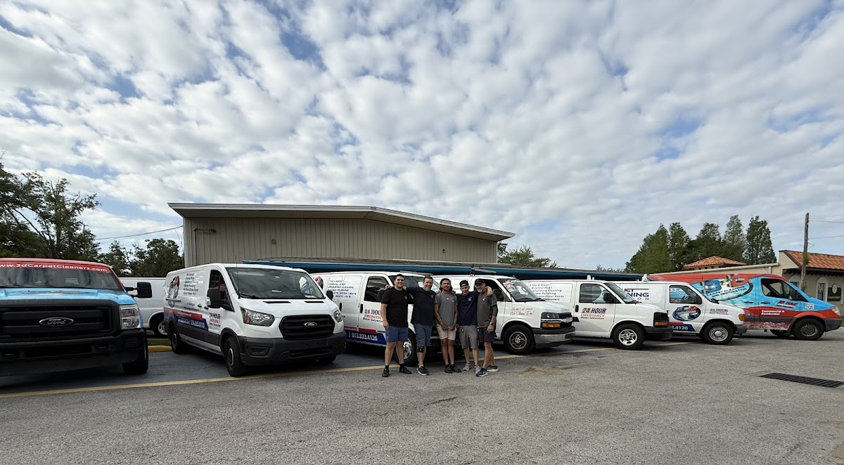 3D Carpet Cleaning and Restoration