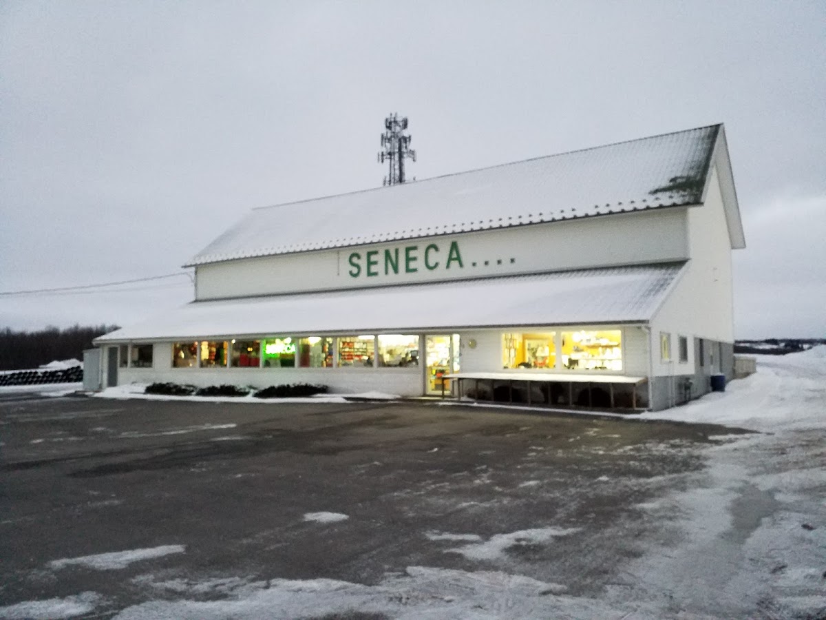 Seneca Plumbing
