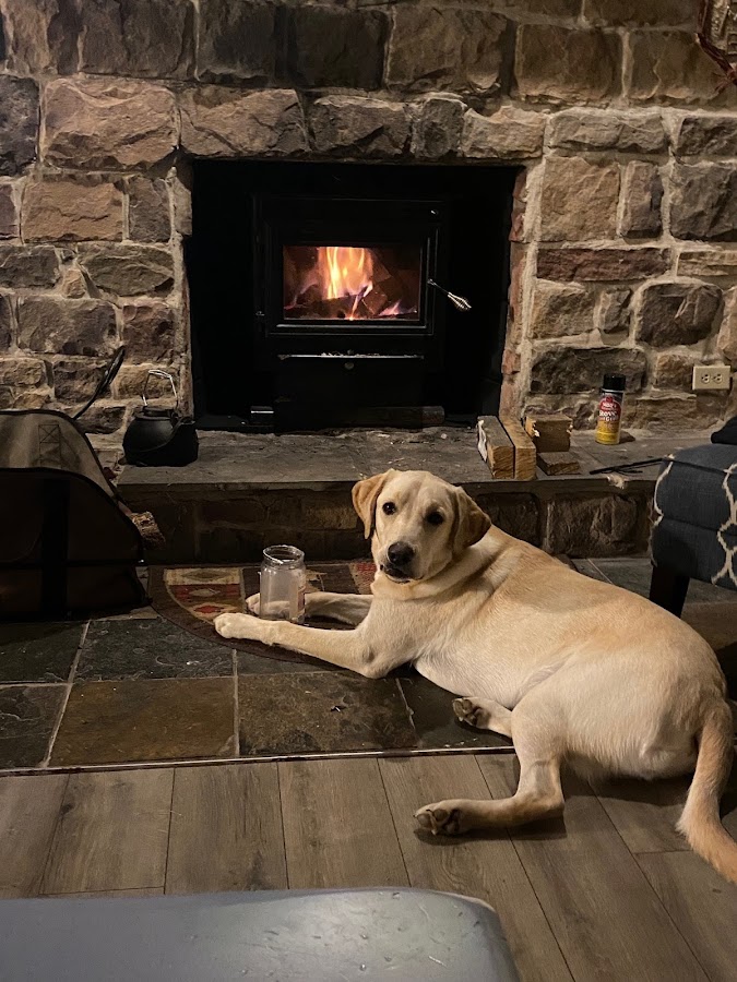 Mama Bear Chimney Services