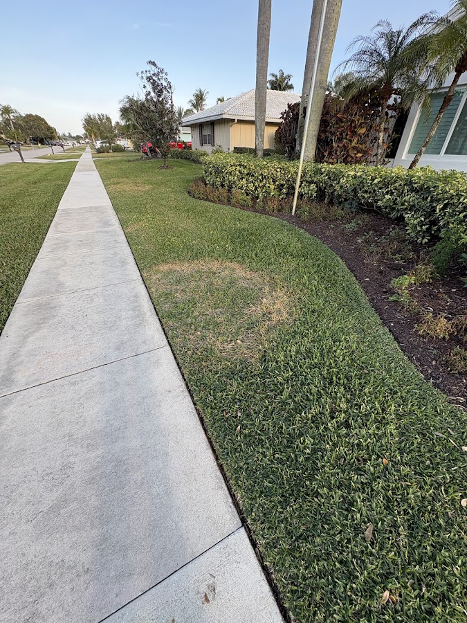 SureShot Pest Solutions