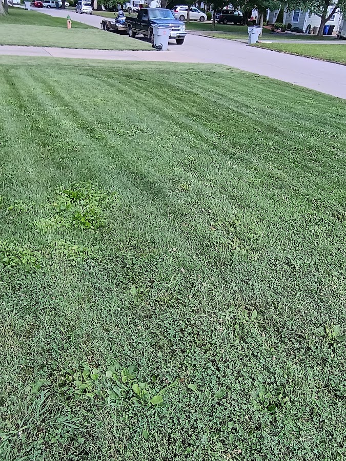 Green Haven lawn care LLC