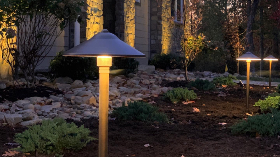 Safari Lawn & Landscape