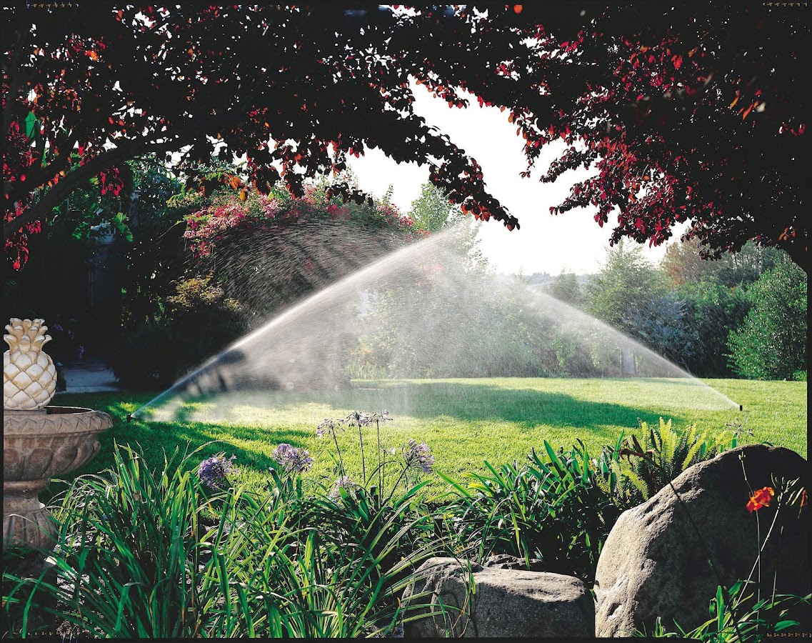 All Phaze Irrigation