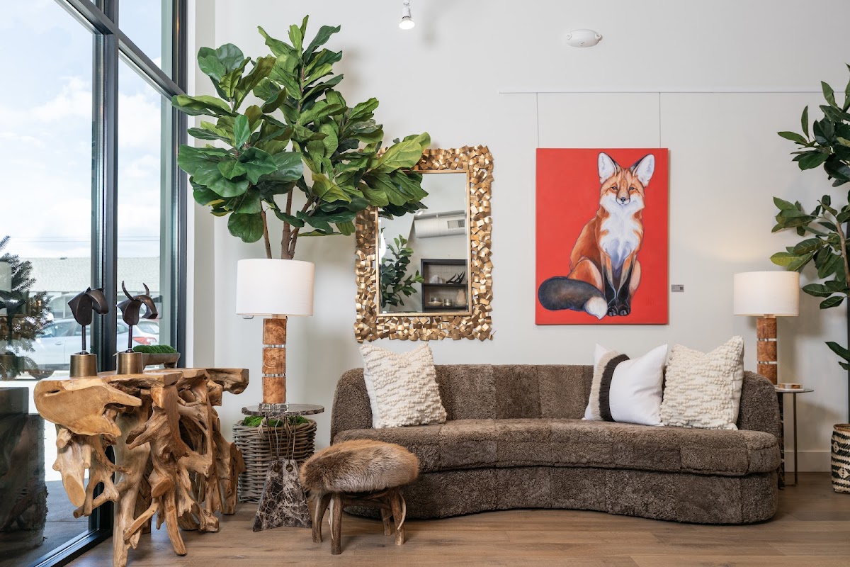 Elevated Living Interiors