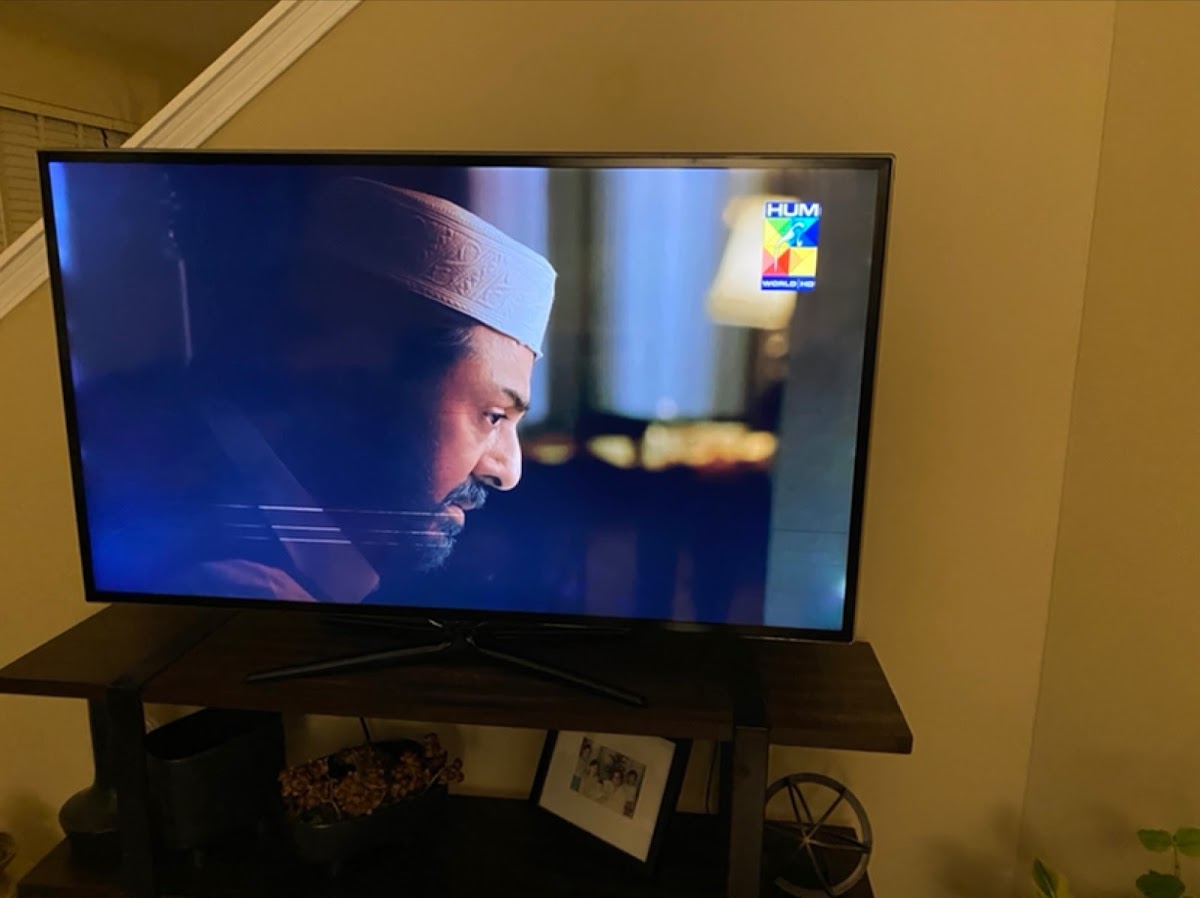 Electronic Express, Inc.