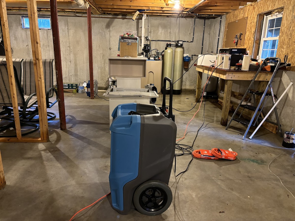 Magic Carpet Cleaning & Restoration