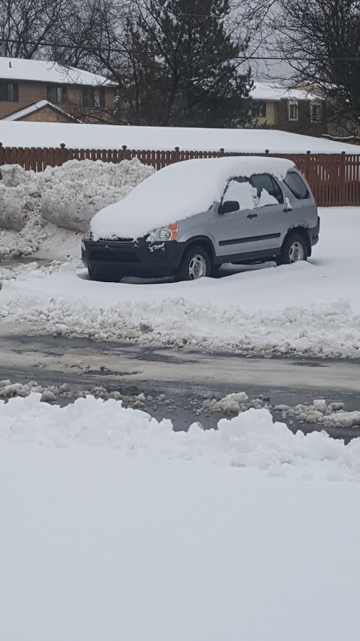 Greenlawn Landscaping Maintenance Co